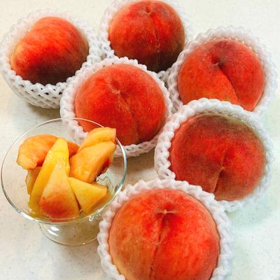 たべれぽの写真