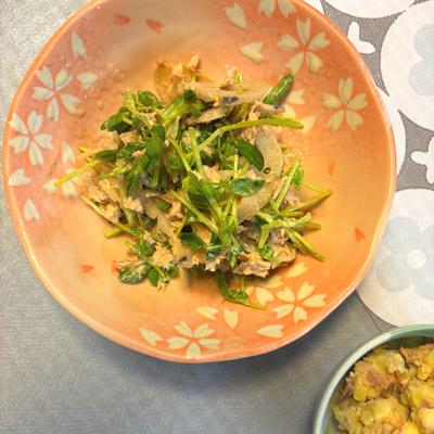 たべれぽの写真