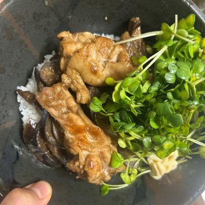 たべれぽの写真