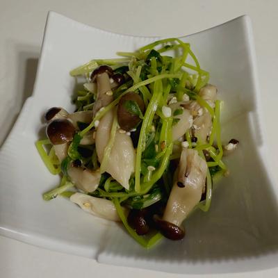 たべれぽの写真