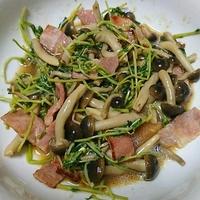 たべれぽ