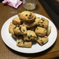 たべれぽ