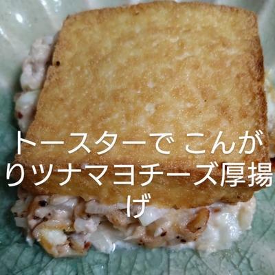 たべれぽの写真