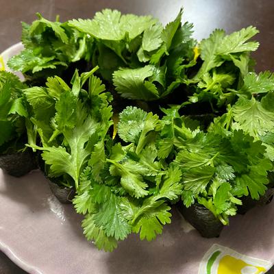 たべれぽの写真