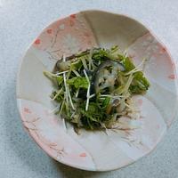 たべれぽ