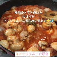 たべれぽ