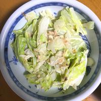 たべれぽ