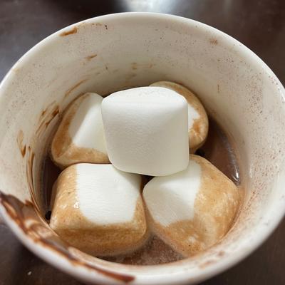 たべれぽの写真