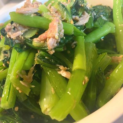 たべれぽの写真