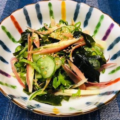 たべれぽの写真