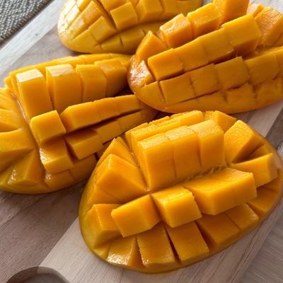 たべれぽの写真