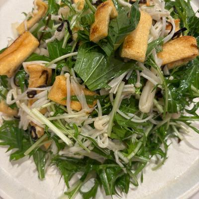 たべれぽの写真