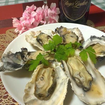 たべれぽの写真