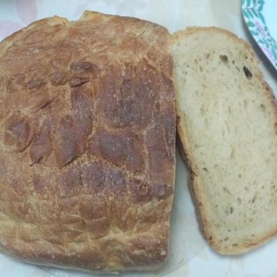 たべれぽの写真