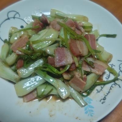 たべれぽの写真