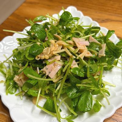 たべれぽの写真