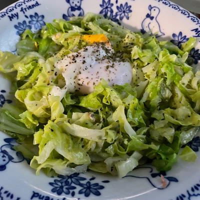 たべれぽの写真