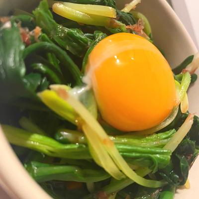 たべれぽの写真