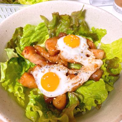 たべれぽの写真