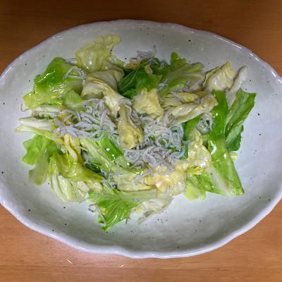 たべれぽの写真