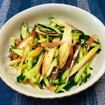 たべれぽの写真