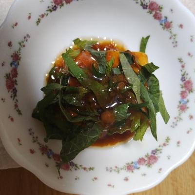 たべれぽの写真