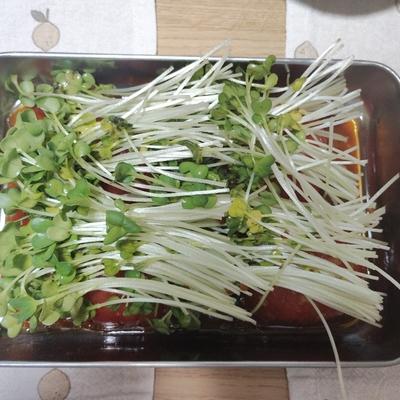 たべれぽの写真