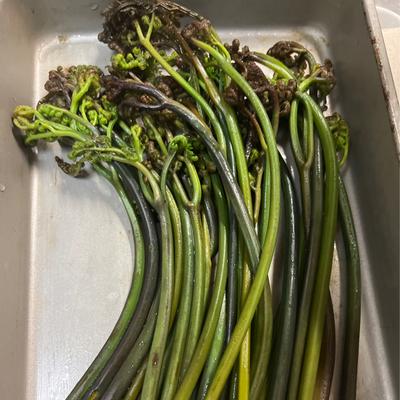 たべれぽの写真