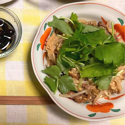 たべれぽの写真