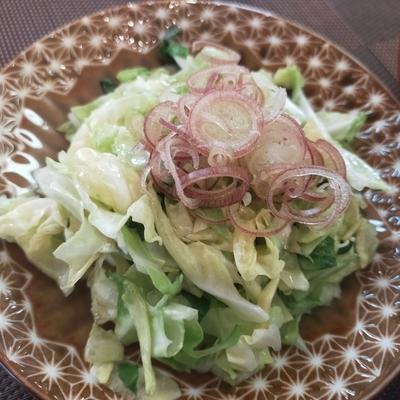 たべれぽの写真