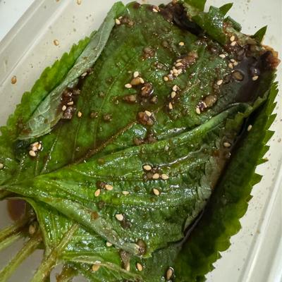 たべれぽの写真