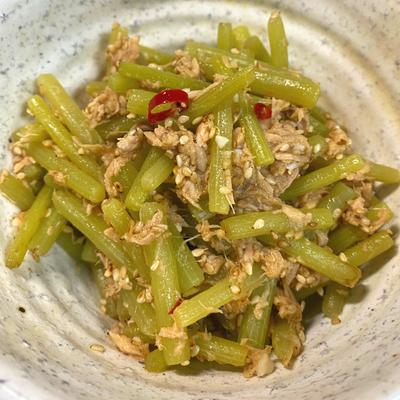 たべれぽの写真