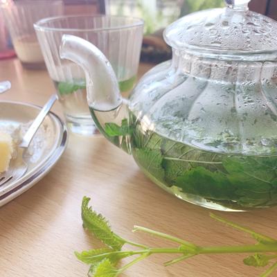 たべれぽの写真