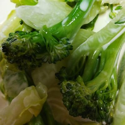 たべれぽの写真