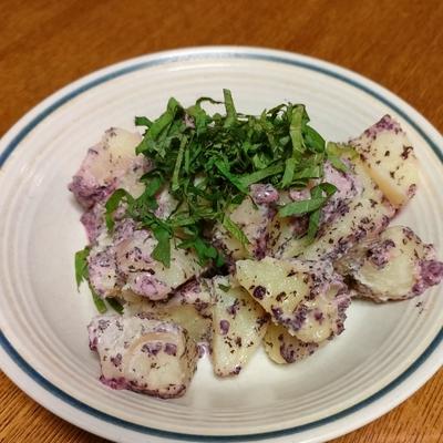 たべれぽの写真