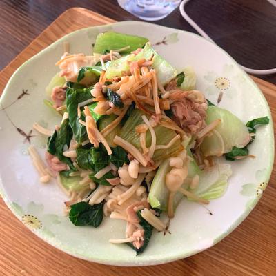 たべれぽの写真