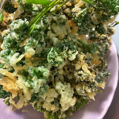 たべれぽの写真