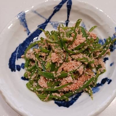 たべれぽの写真