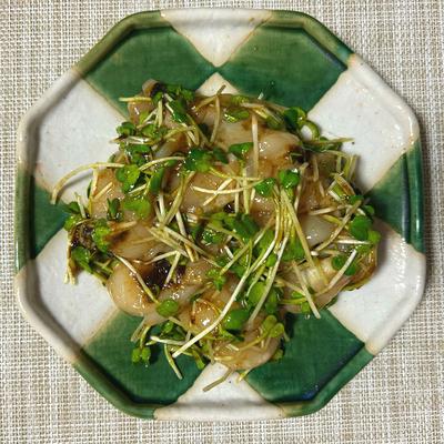 たべれぽの写真