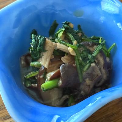 たべれぽの写真