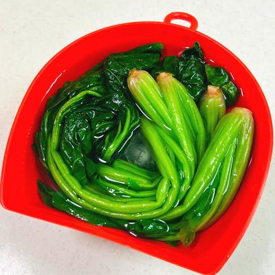 たべれぽの写真