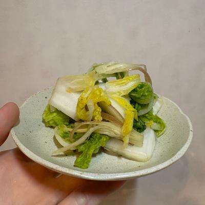 たべれぽの写真