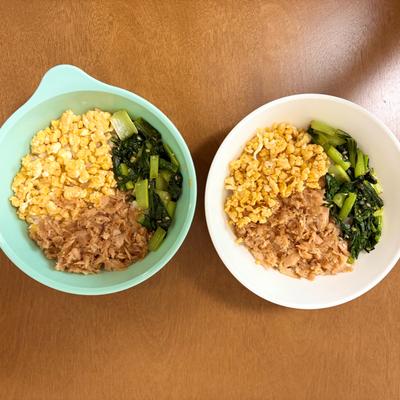 たべれぽの写真