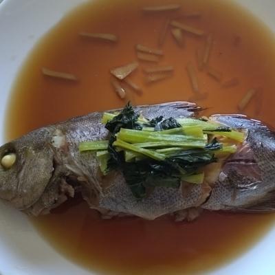 たべれぽの写真