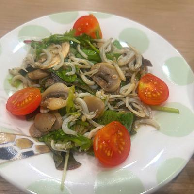 たべれぽの写真