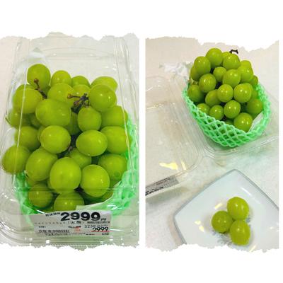 たべれぽの写真