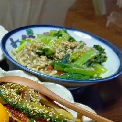 たべれぽの写真