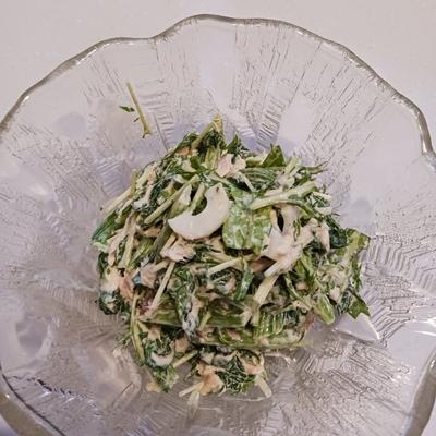 たべれぽの写真