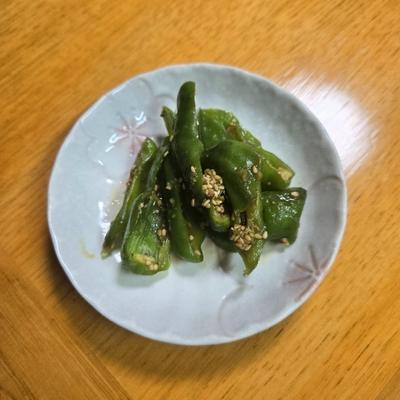 たべれぽの写真