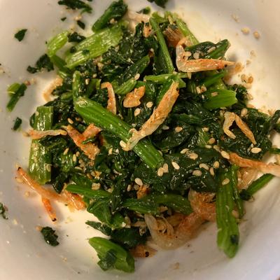 たべれぽの写真